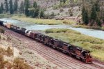 w/b D&RGW Freight and Empty Coal Hoppers Train